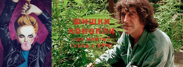 твердый Осташков