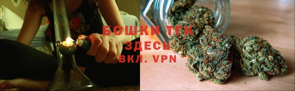 твердый Осташков