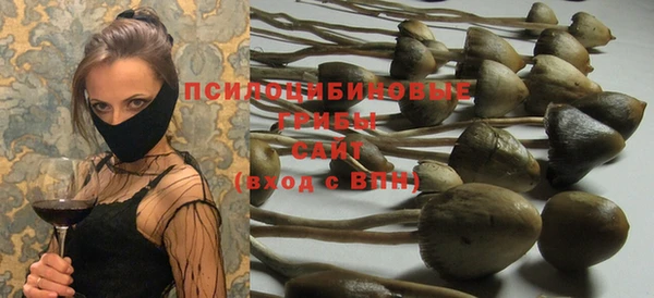 МДПВ Болотное